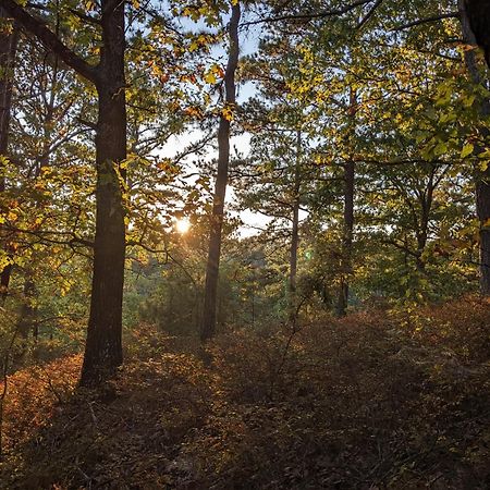 Вилла Loblolly Pines Adventure Aframe #1 Юрика Спрингс Экстерьер фото